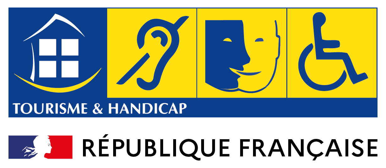 Handicap auditif, Handicap mental, Handicap moteur