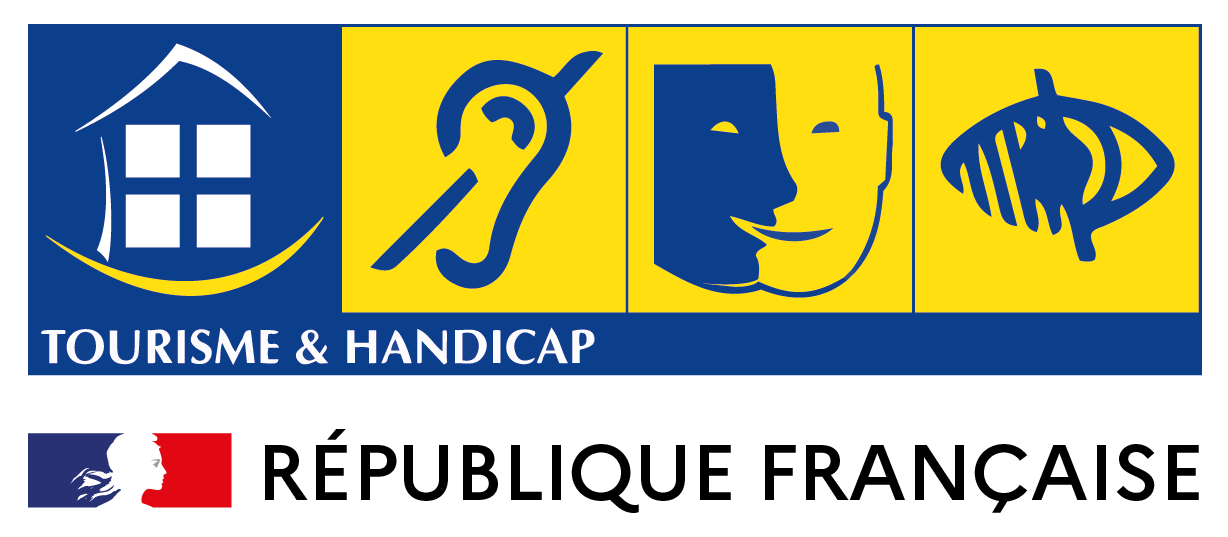 Handicap auditif, Handicap mental, Handicap visuel