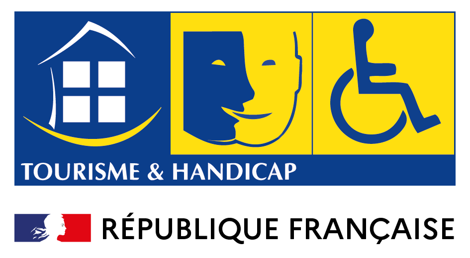 Handicap mental, Handicap moteur