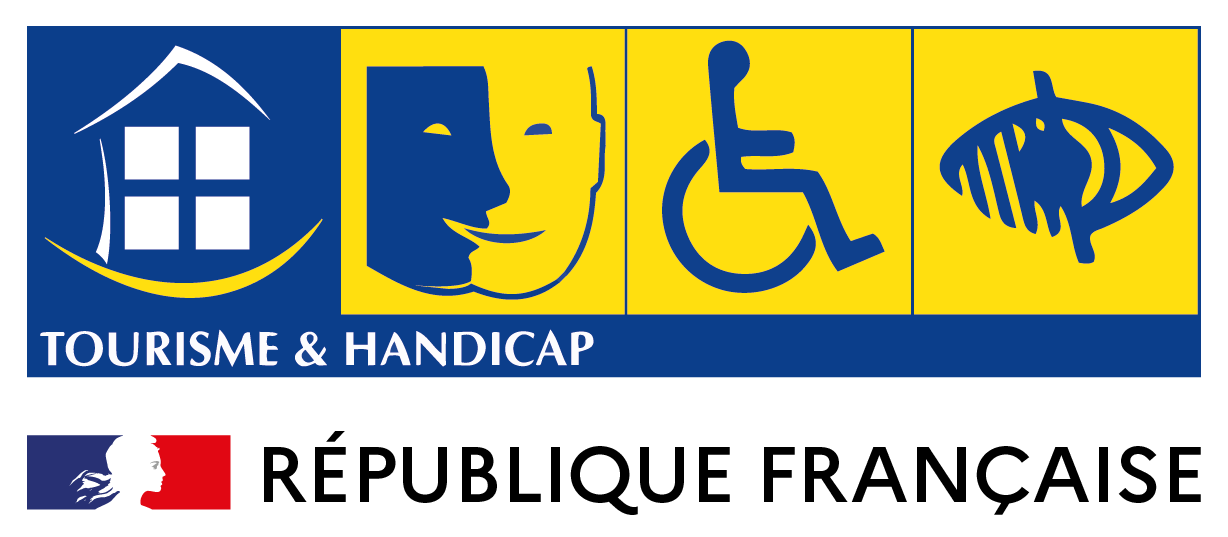 Handicap mental, Handicap moteur, Handicap visuel